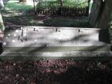 image of grave number 527311